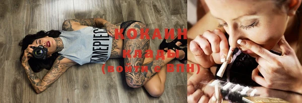 индика Березники